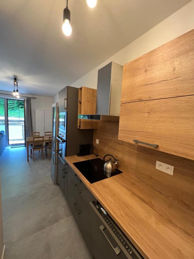 Apartman Jizerky Janov nad Nisou Exterior photo